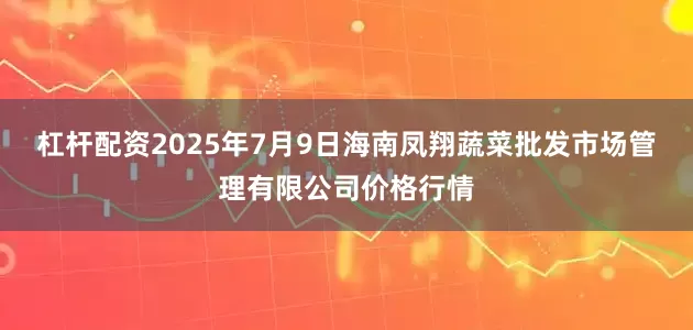 杠杆配资2025年7月9日海南凤翔蔬菜批发市场管理有限公司价格行情