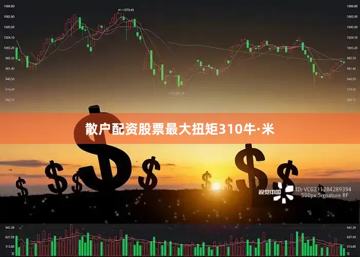 散户配资股票最大扭矩310牛·米